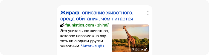 Картинки на поиске