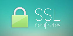 Нужно ли устанавливать SSL-сертификат